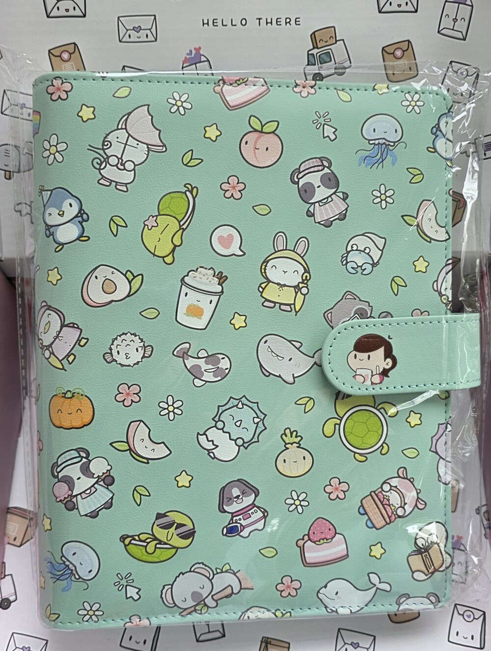 Hubman & Chubgirl A5 Mint Characters Storage Binder, NIP